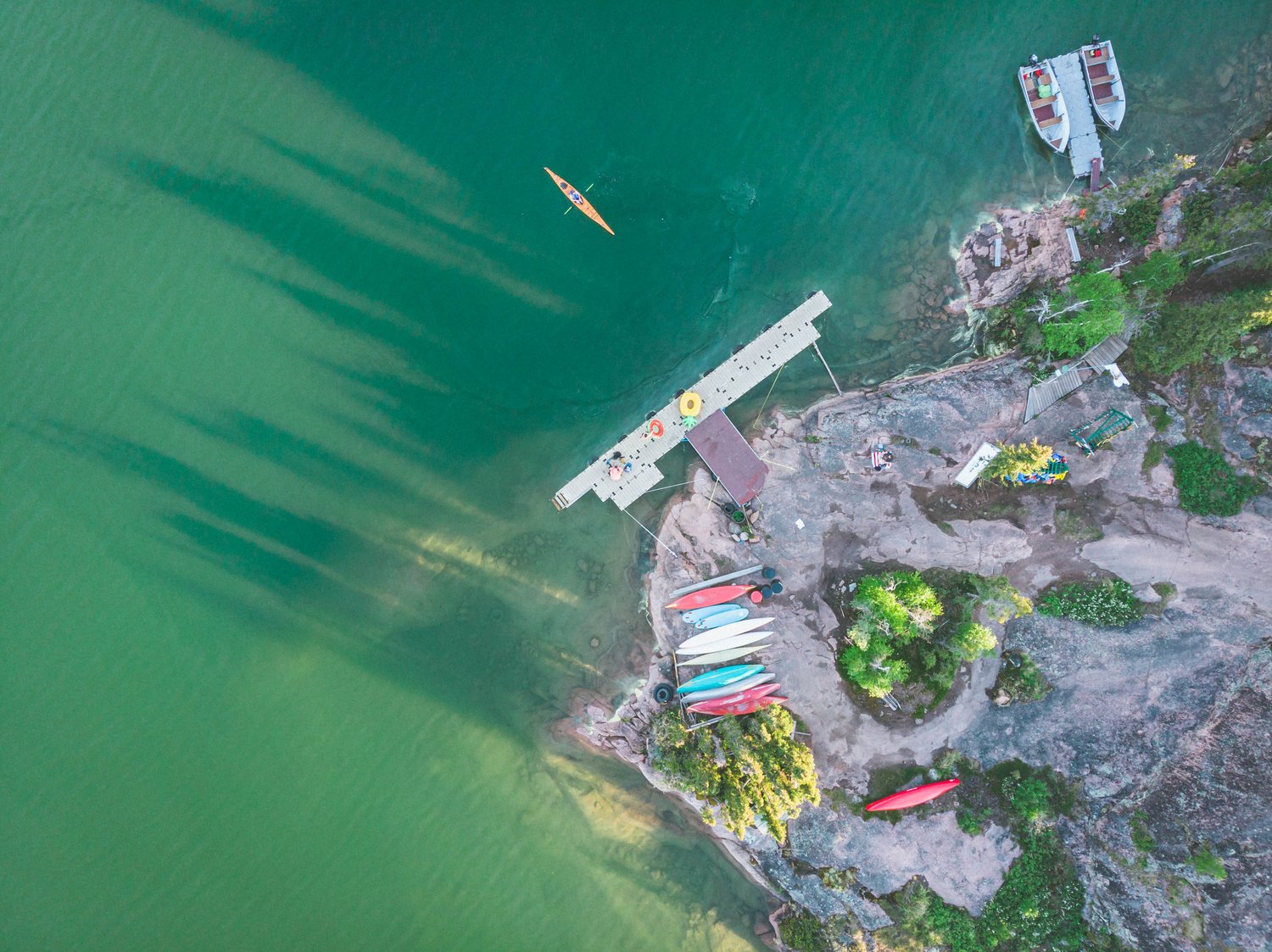 Summer at Blachford Lodge